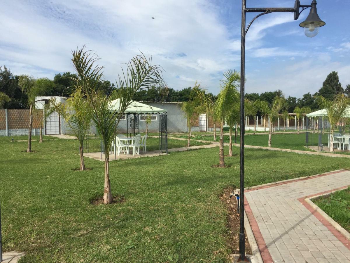 Palm Grove Farm Vila Tit Mellil Exterior foto