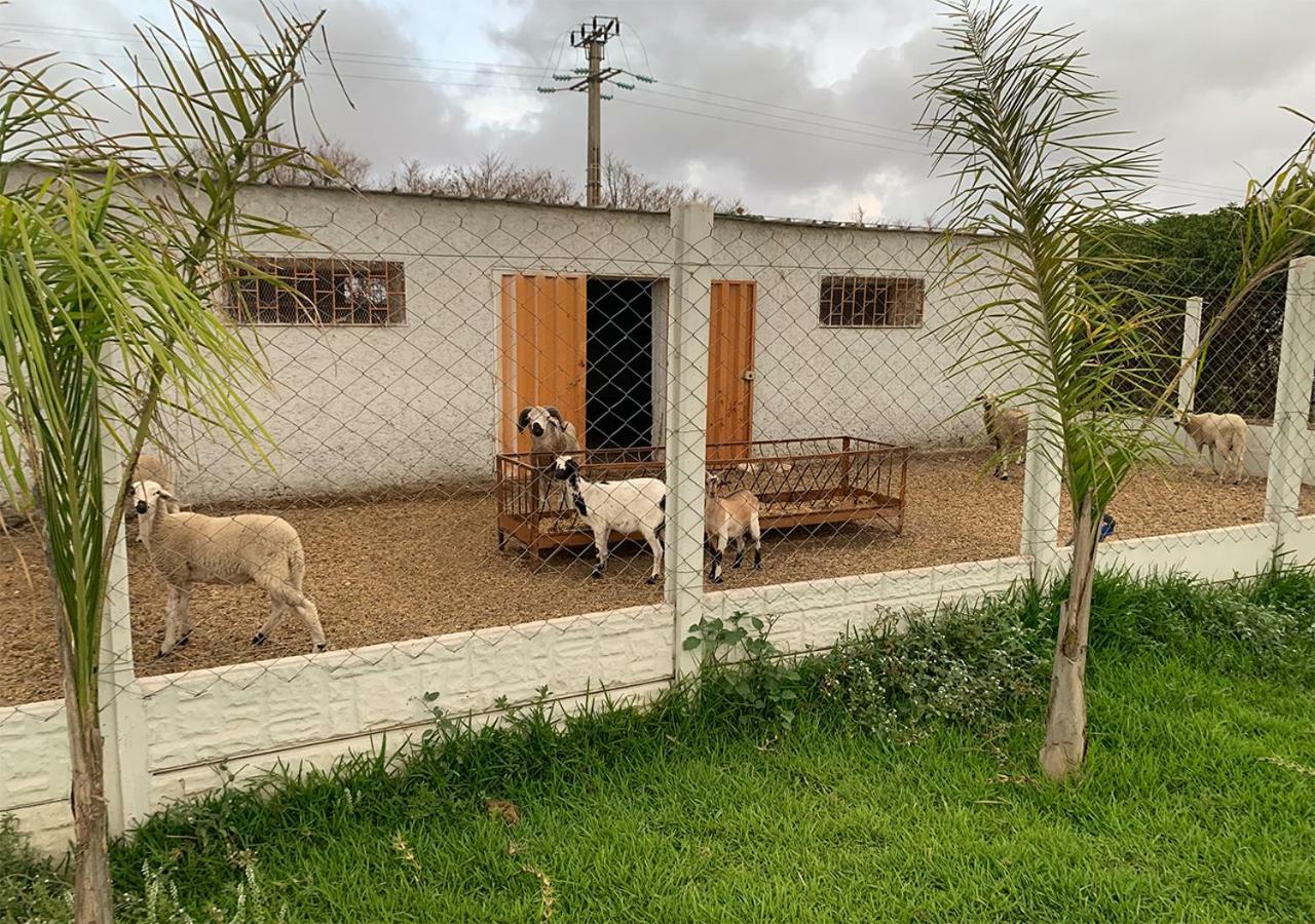 Palm Grove Farm Vila Tit Mellil Exterior foto